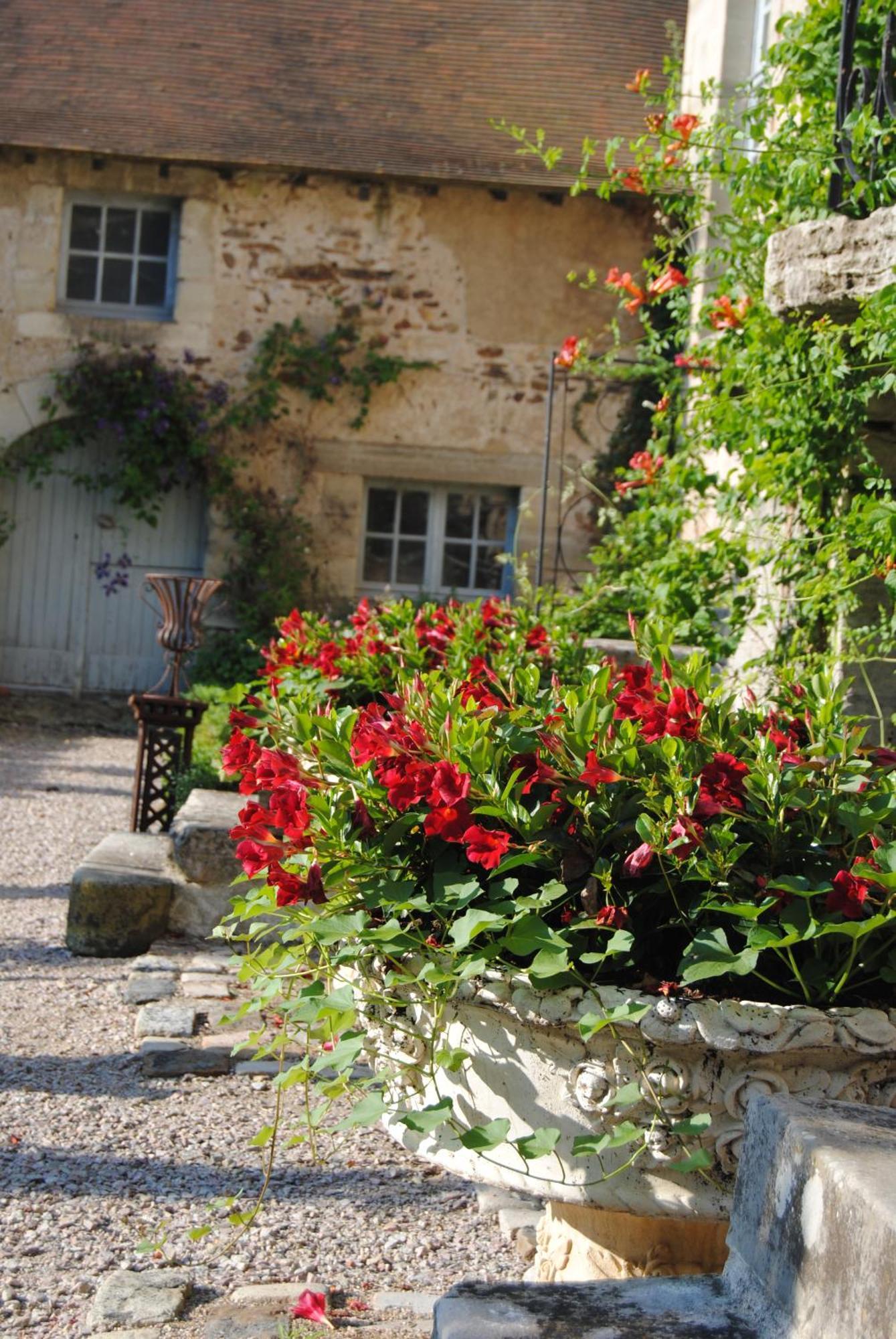 Chateau De Montchoisy Chezelle المظهر الخارجي الصورة